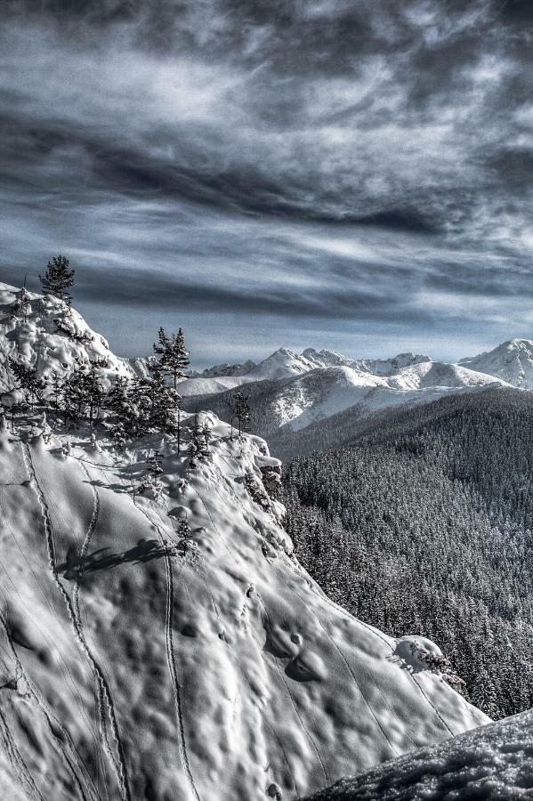 Willa Zbikowka Zakopane Kültér fotó
