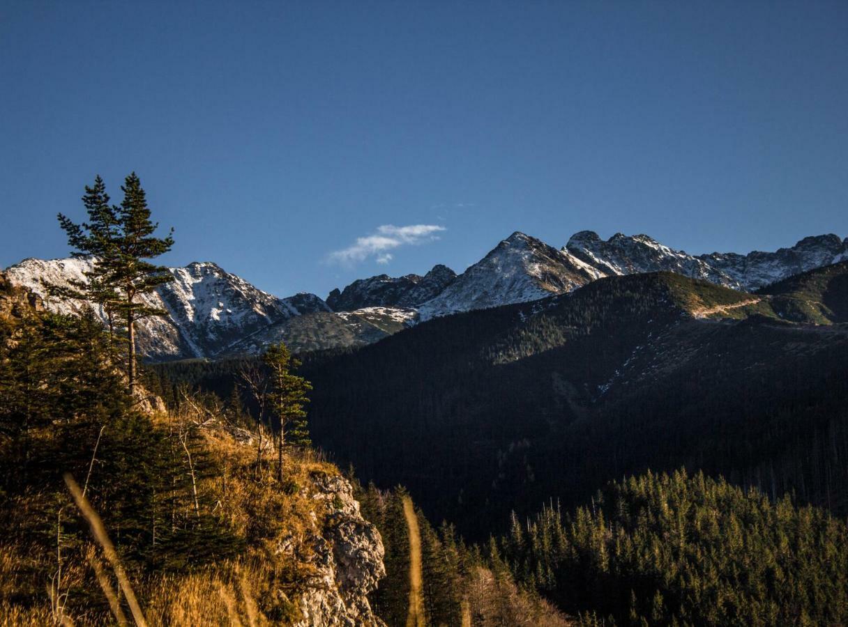Willa Zbikowka Zakopane Kültér fotó